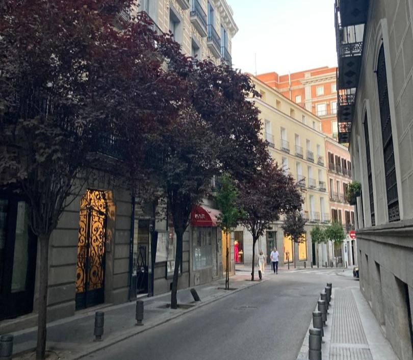 Where to stay in Madrid - Barrio Las Letras